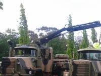 Krupp6x5