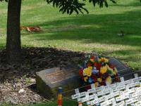 rememberance tree1