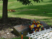 Rememberance tree