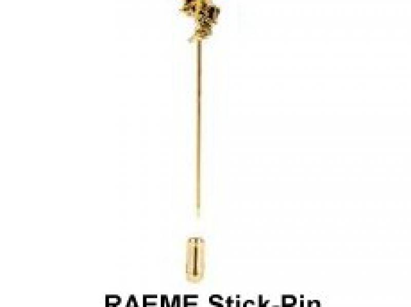 Pin 2 RAV
