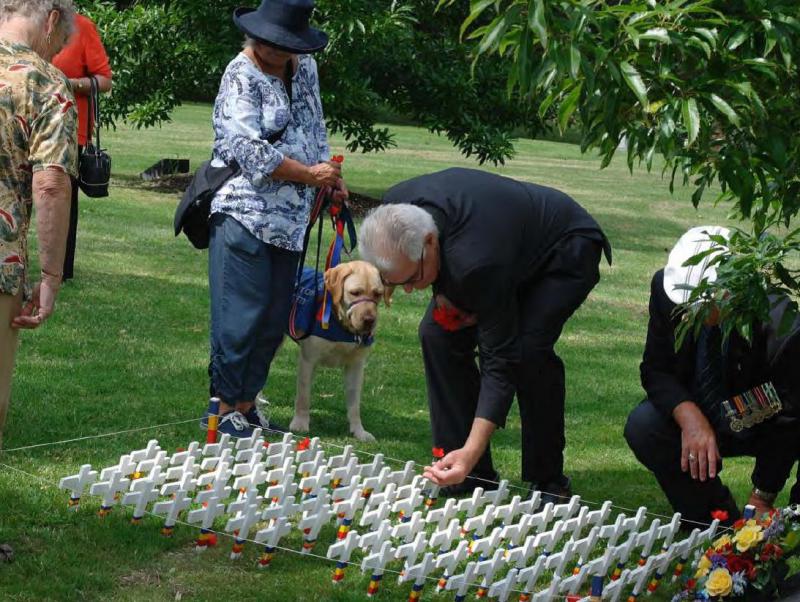 Rememberance tree2